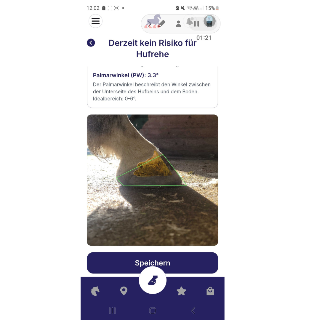 Ein Blick in die App